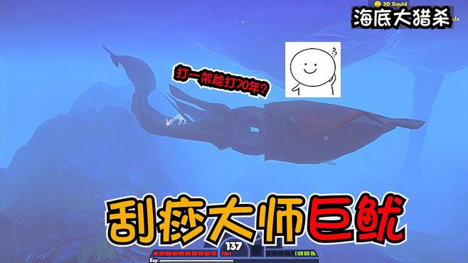 海底大猎杀：抹香鲸遇上刮痧大师，按摩手法有一套！