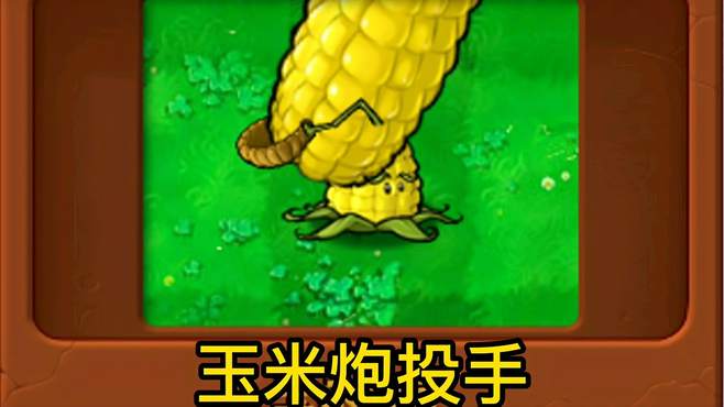 鸡米饭新植物：玉米炮投手