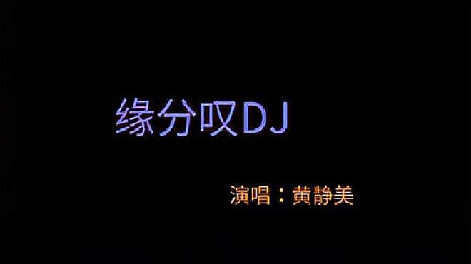 叹缘分DJ版-黄静美