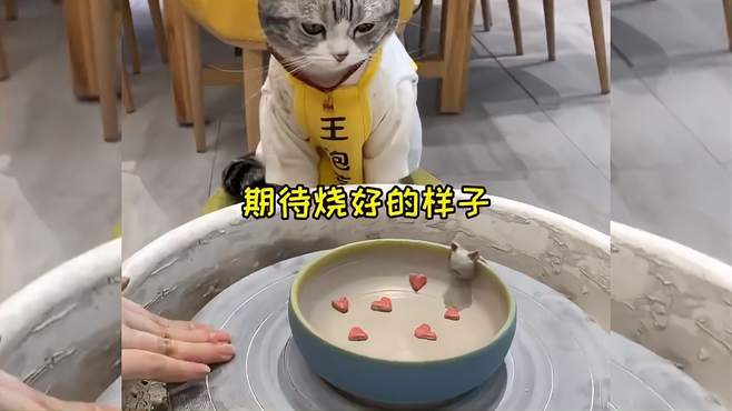 给泡芙做猫碗，有那么点丑，哈哈哈