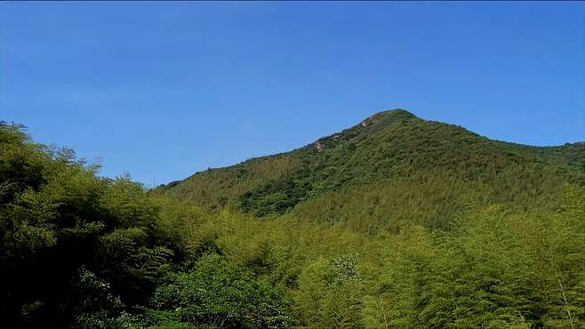 美丽的风景让人流连忘返！