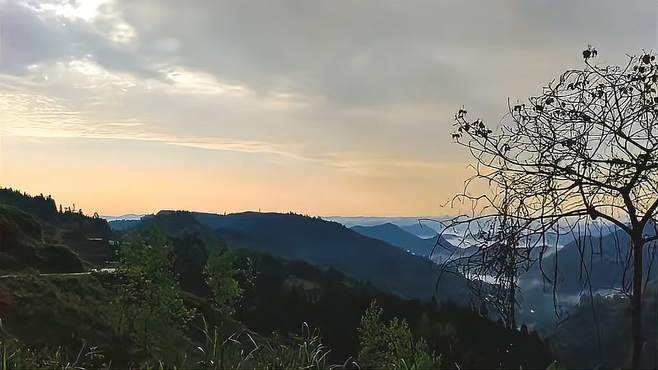 大山里风景新鲜的空气你喜欢吗？