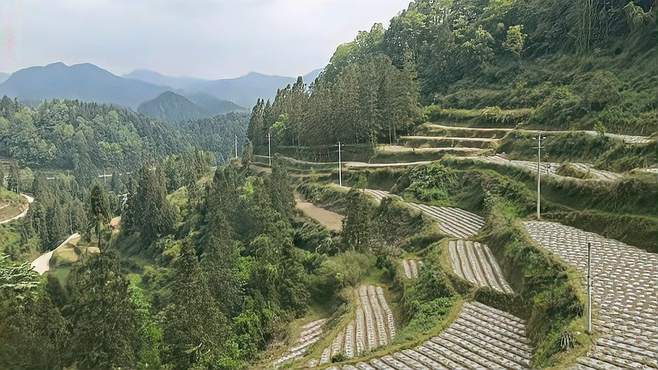 贵州大山里的田园风光这样的环境才是真实的田园生活