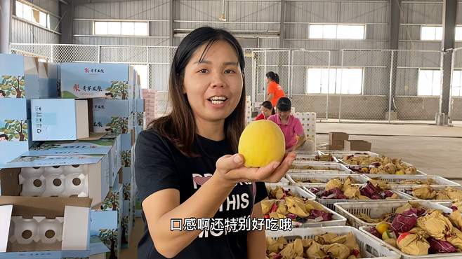 八妹去襄阳宜城直播卖黄桃，回家前来到仓库说一定要把品质把控好
