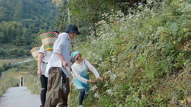 去遵义习水，寻山中之宝，感受大自然的魅力丨她乡