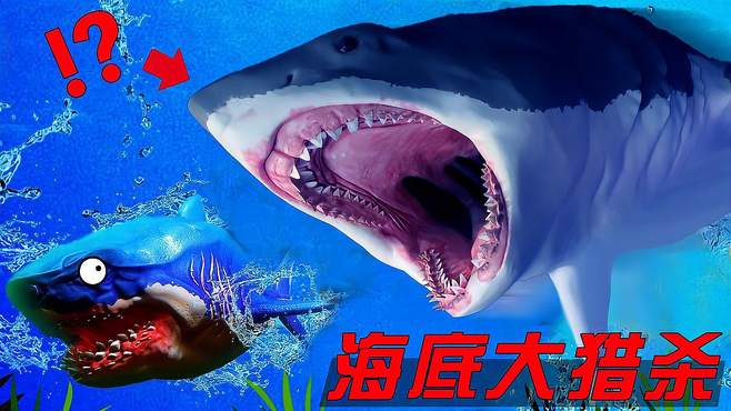 海底大猎杀02：虎鲨，鱼称“海中老虎”，鲨鱼家族中最凶猛的一员