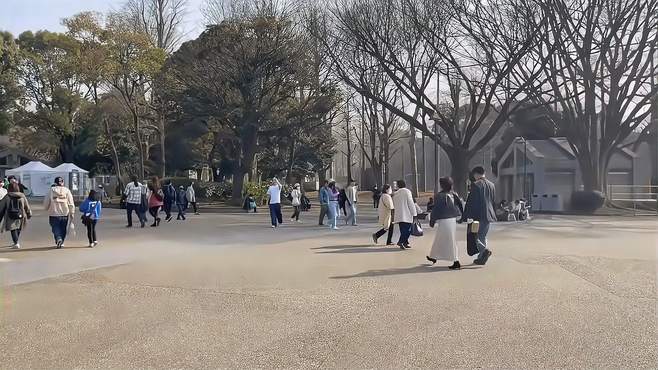 美景浪潮，休闲放松，城市游览