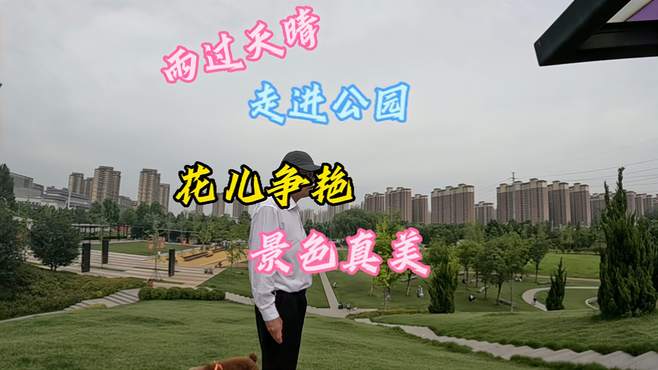 雨过天晴，走进郑州市东区公园，看见百花争艳，花儿朵朵开，真美