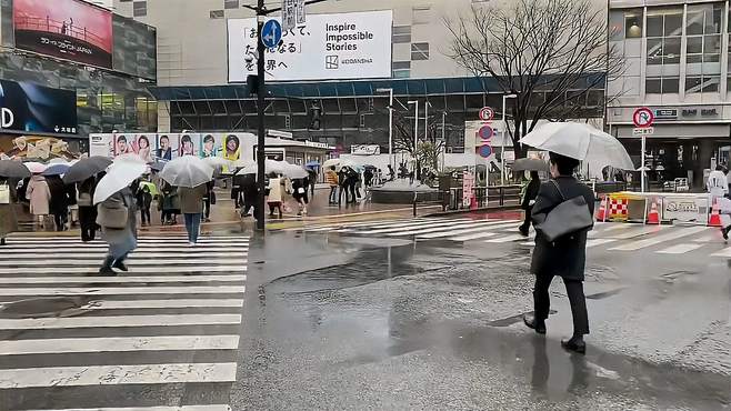 城市文化体验，畅享热闹街头