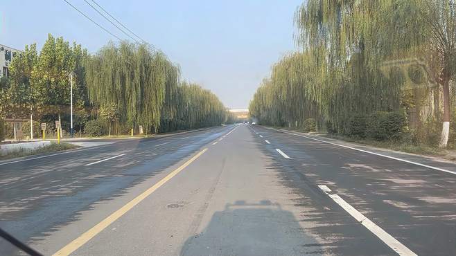 每天上班最喜欢这条路的风景