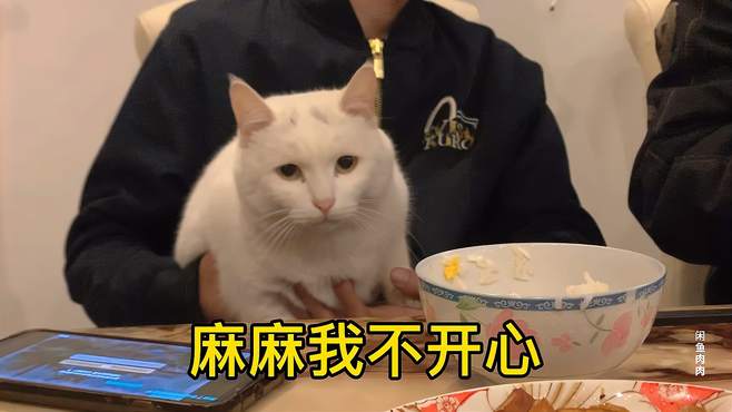 我的猫对我到底有多偏爱