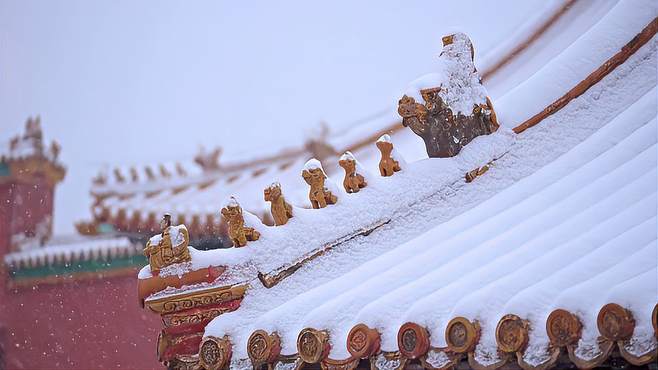 故宫的猫也会玩雪