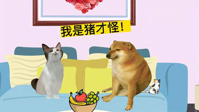 搞笑段子：你是猪，我是猪才怪？