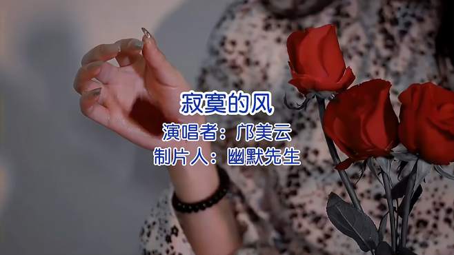 一曲《寂寞的风》是一代人的经典老歌，听了让人陶Z!