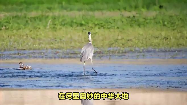 鄱阳湖两日游攻略，探索千年古泽的神秘美鄱阳湖旅游攻略游玩指南