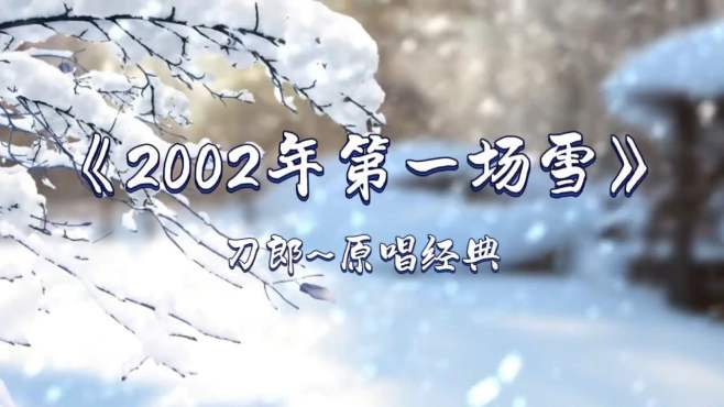 你像一只飞来飞去的蝴蝶！刀郎~原创经典歌曲《2002年第一场雪》