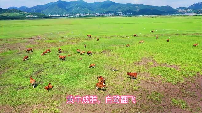 象山海岸风光，山海文韵，悦享东陈