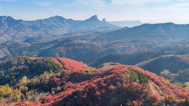 航拍济南七星台，漫山遍野红叶烂漫，一个免费赏秋的好地方