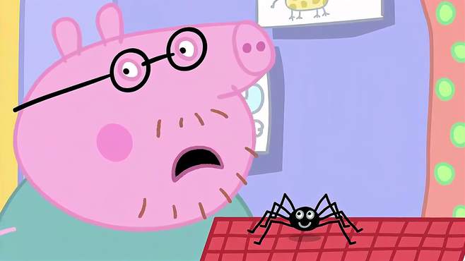 小猪佩奇：佩奇害怕蜘蛛，求猪爸爸把它弄走，哪想蜘蛛太大吓跑他