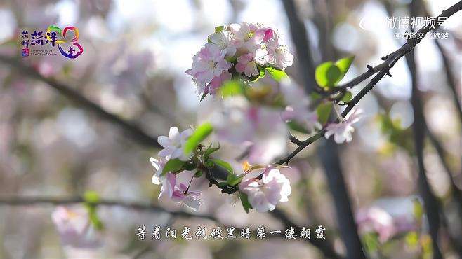 打卡花样菏泽  最in山东打卡地  花香与书香的碰撞，快来菏泽 图书馆 来打卡吧